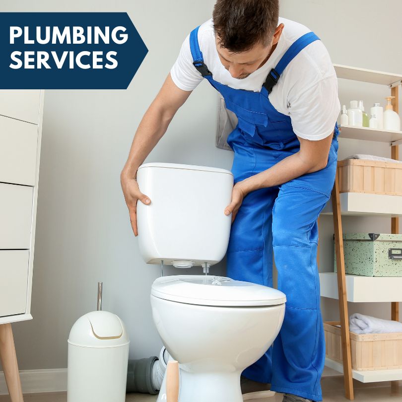 Plumbing Company in Coal Valley, IL